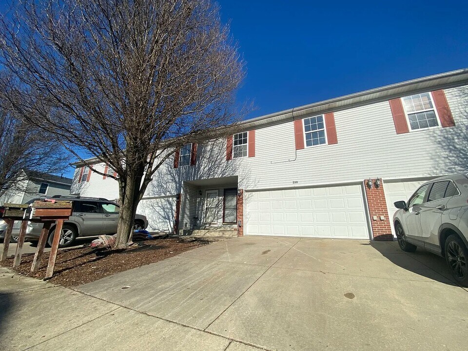 250 Parktrail Rd in Normal, IL - Building Photo