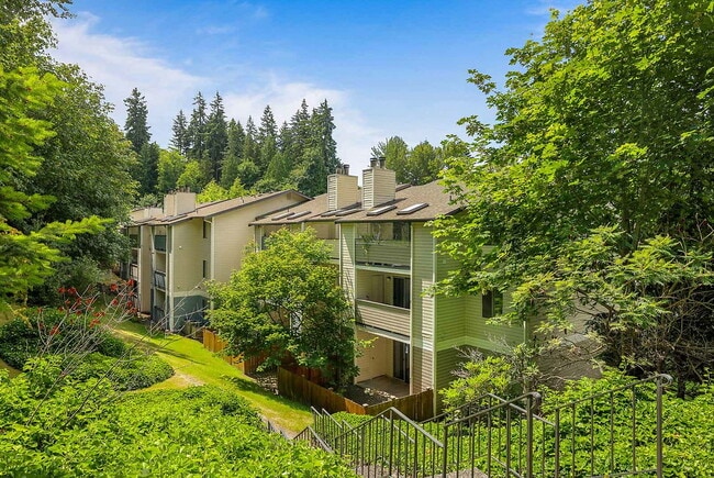 Cedar Terrace