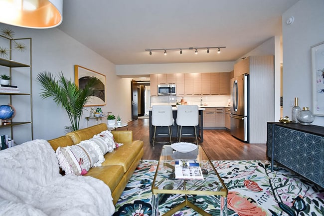 property at 19 S Halsted St