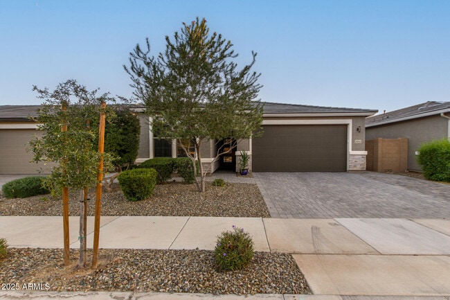 18345 W Ipswitch Wy in Surprise, AZ - Building Photo - Building Photo