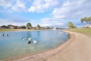 19038 Winding Stream Ln in Houston, TX - Building Photo - Building Photo