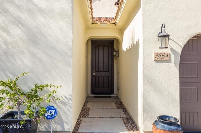 3664 S Jasmine Dr in Chandler, AZ - Building Photo - Building Photo
