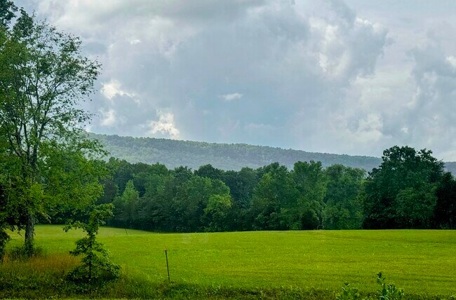 5573 GA-193 in Flintstone, GA - Building Photo - Building Photo