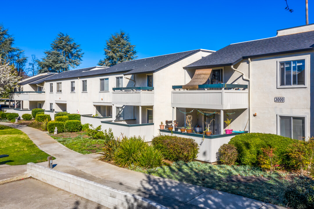 Trinity Way Apartments in Fremont, CA - Building Photo