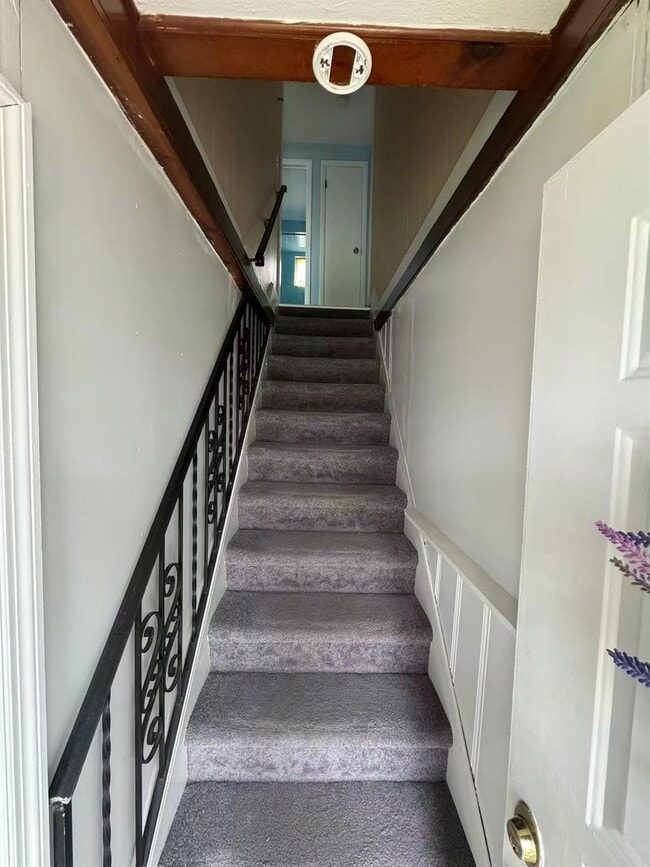 35 Crag Ln in Levittown, NY - Building Photo - Building Photo