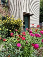 51 Church St, Unit C in Saratoga Springs, NY - Building Photo - Building Photo