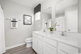 242 Christiana Ln in Myrtle Beach, SC - Building Photo - Building Photo
