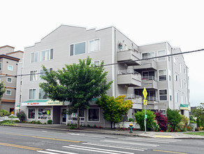 Greentree Building in Seattle, WA - Building Photo - Building Photo