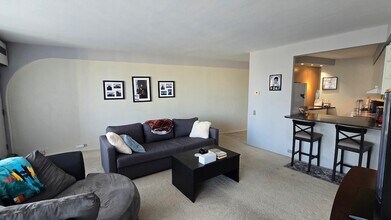 300 N State St, Unit 3909 in Chicago, IL - Building Photo - Building Photo