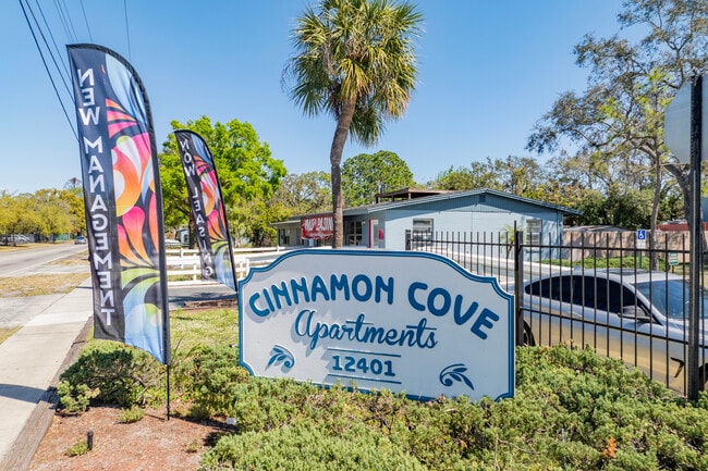 Cinnamon Cove Apartments in Tampa, FL - Building Photo - Building Photo