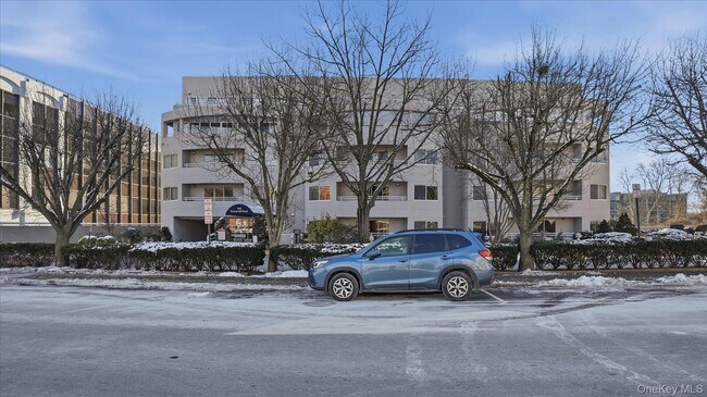 100 Cutter Mill Rd in Great Neck, NY - Building Photo - Building Photo