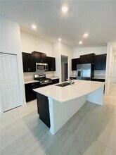 22203 Storybook Cabin Wy in Land O Lakes, FL - Building Photo - Building Photo