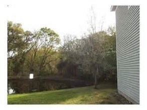 10951 Black Swan Ct in Seffner, FL - Building Photo - Building Photo