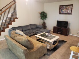 14515 Roaring Fork Ln in Houston, TX - Building Photo