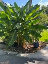 118 Tarpon Trail SE in Cartersville, GA - Building Photo - Building Photo