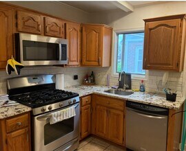 100 Carl Ave in Franklin Square, NY - Building Photo - Building Photo