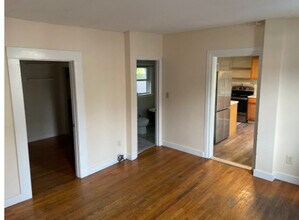 160 N Champlain St, Unit #1 in Burlington, VT - Building Photo - Building Photo