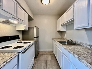 701 W Sycamore St, Unit 203 in Denton, TX - Building Photo - Building Photo