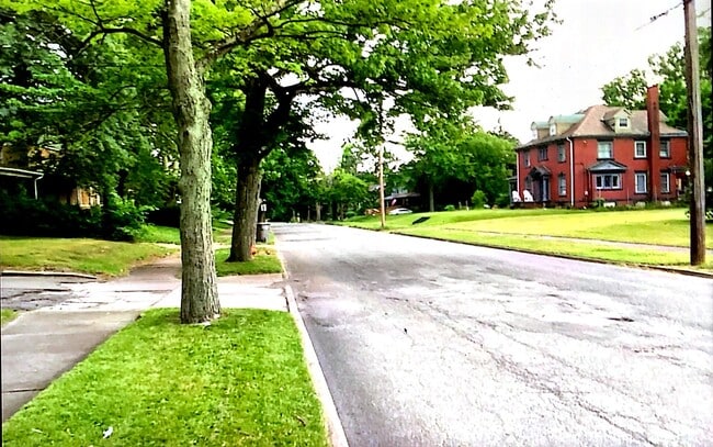 280 Fairgreen Ave, Unit 3 in Youngstown, OH - Foto de edificio - Building Photo