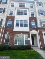 15183 Sage Run Rd in Haymarket, VA - Building Photo