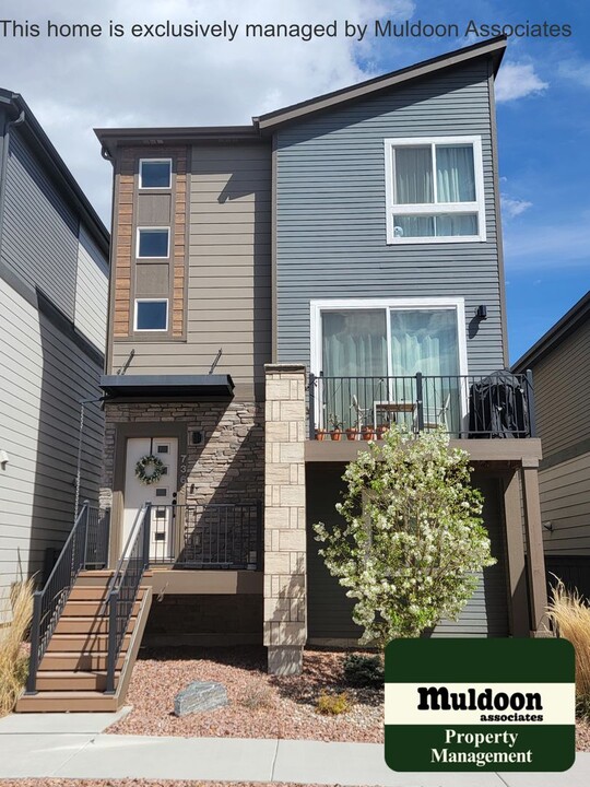 7363 Rosa Belle Hts in Colorado Springs, CO - Building Photo