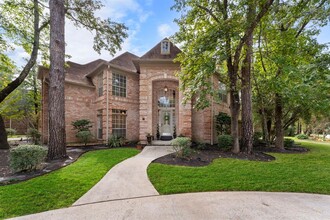 14 Hornsilver Pl in Spring, TX - Building Photo - Building Photo