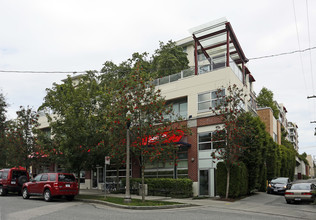 The Vine in Vancouver, BC - Building Photo - Building Photo