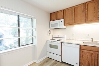 10 Spring Ct in Charlottesville, VA - Building Photo - Building Photo