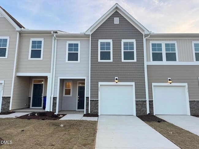 property at 209 Lily Patch Ln