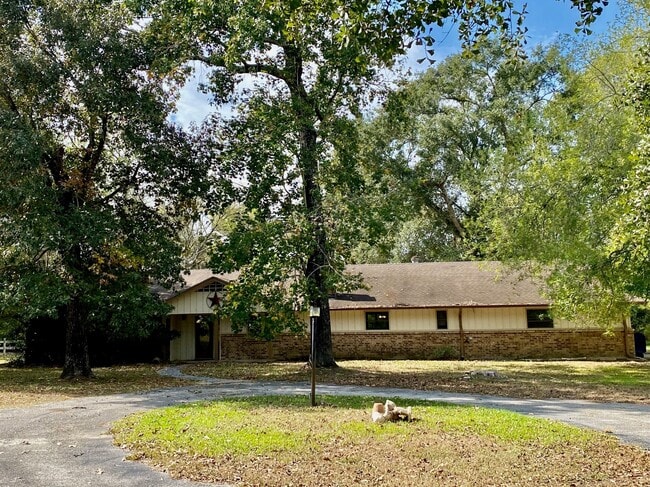 14216 Horseshoe Bend in Conroe, TX - Building Photo - Building Photo
