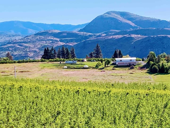 2365 Washington St, Unit 2 Bedroom-Vineyard Views in Manson, WA - Building Photo