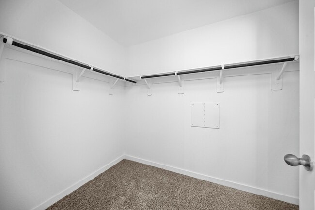 property at 3831 Beltingham Bend Wy