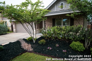 31913 Cast Iron Cv in Bulverde, TX - Building Photo - Building Photo