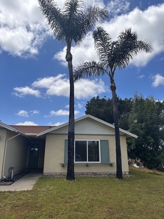 298 Faxon St in Spring Valley, CA - Building Photo
