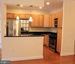 38 Maryland Ave in Rockville, MD - Building Photo - Building Photo