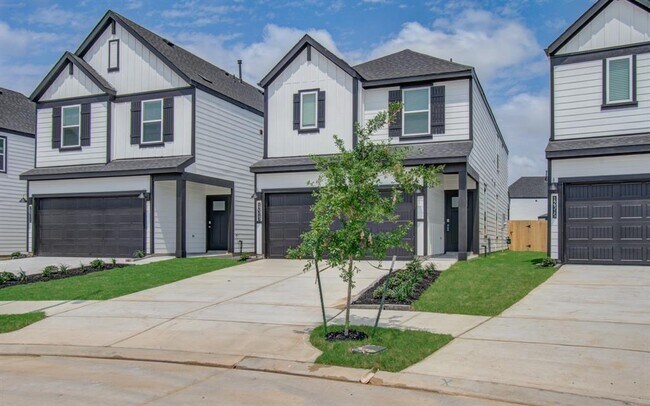 12313 Frisco Cv Ct in Houston, TX - Building Photo - Building Photo