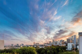 808 Paige St in Houston, TX - Building Photo - Building Photo