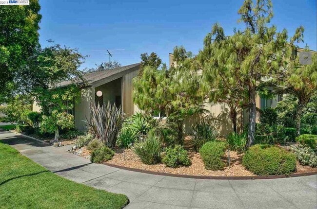 3350 Fir Ave in Alameda, CA - Building Photo - Building Photo