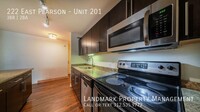 222 E Pearson St in Chicago, IL - Building Photo - Building Photo