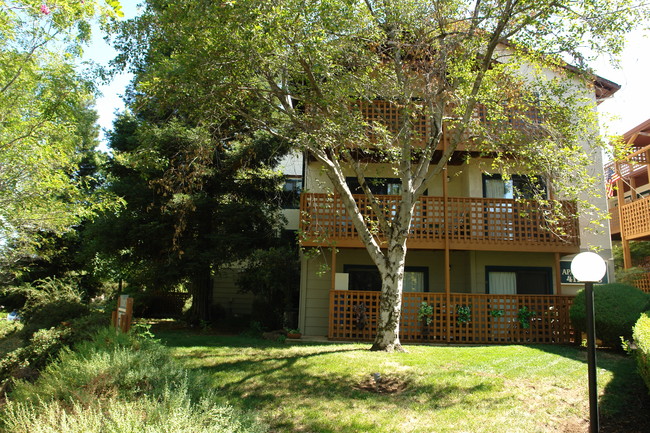 Sierra Sunrise Apartments in Chico, CA - Building Photo - Building Photo