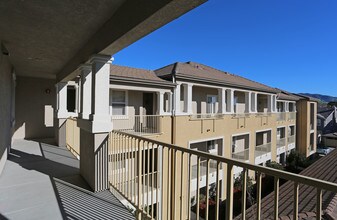Villas at Monterosso in Danville, CA - Building Photo - Building Photo