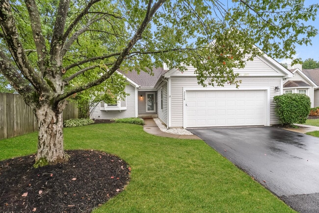 property at 3218 Vineyard Ct
