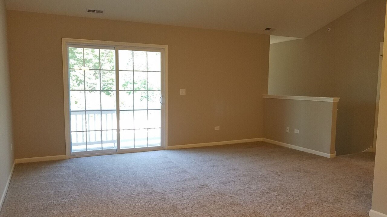 4456 Timber Ridge Ct in Joliet, IL - Building Photo