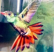 9859 Gandy Ave in Santee, CA - Foto de edificio - Building Photo