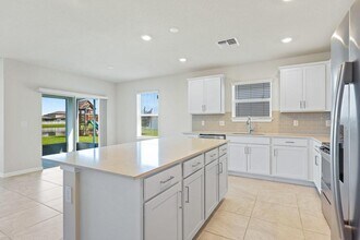 910 Golden Shiner Ave in Ruskin, FL - Building Photo - Building Photo
