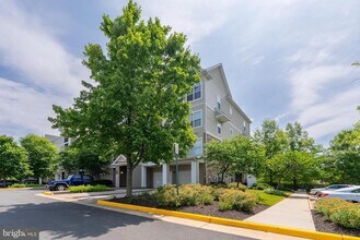 5123 Travis Edward Way in Centreville, VA - Building Photo - Building Photo