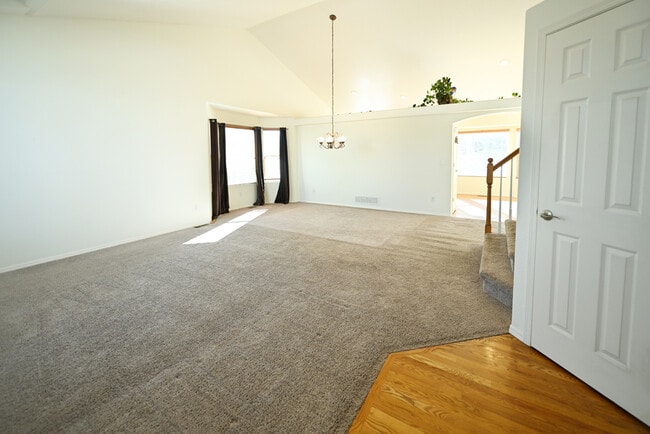 1343 Lookout Springs Dr in Colorado Springs, CO - Building Photo - Building Photo