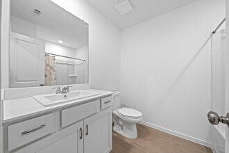 3120 Wild Dunes Dr in Katy, TX - Building Photo - Building Photo