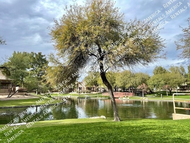 2000 W Periwinkle Way in Chandler, AZ - Foto de edificio - Building Photo