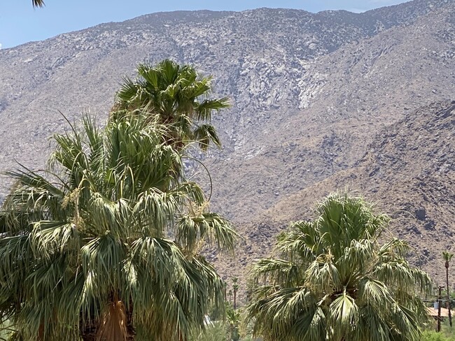 2526 N Junipero Ave, Unit 2 in Palm Springs, CA - Foto de edificio - Building Photo